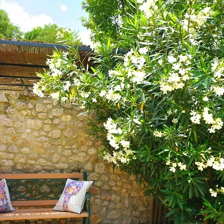 Magnifique Avec Piscine En Provence *